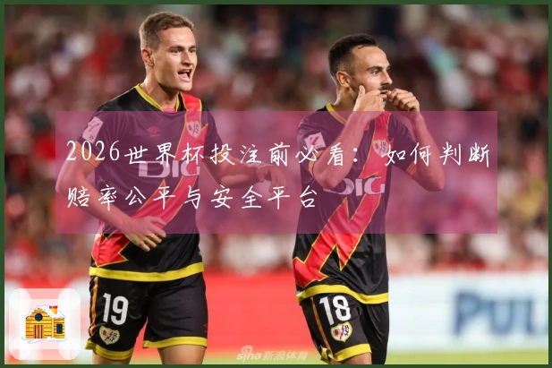 2026世界杯投注前必看：如何判断赔率公平与安全平台