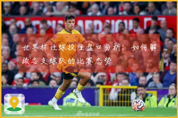 世界杯让球投注盘口分析：如何解读各支球队的比赛态势