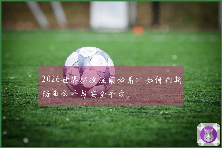 2026世界杯投注前必看：如何判断赔率公平与安全平台